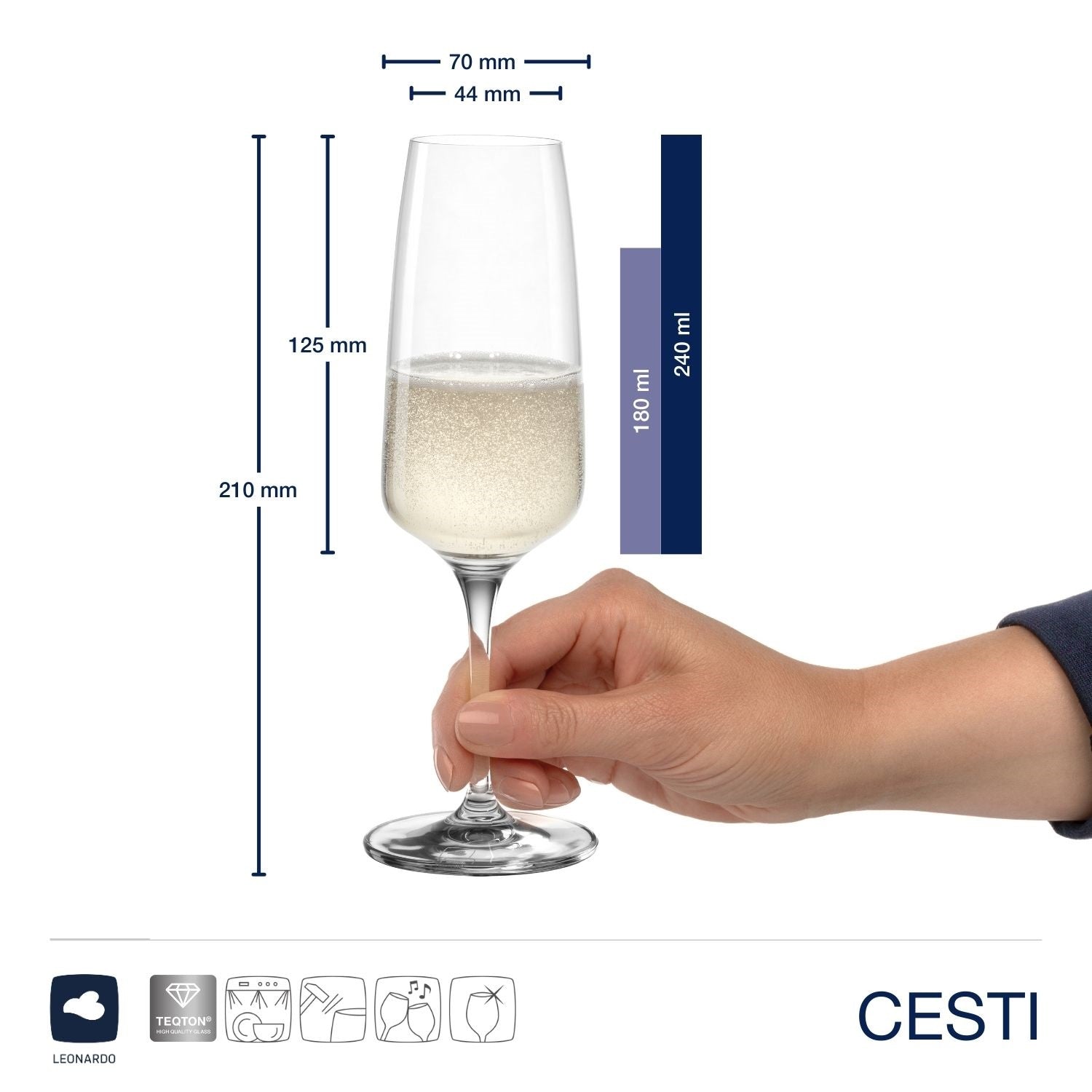 Sektglas CESTI 240 ml 6er-Set + Poliertuch