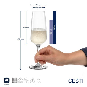 Sektglas CESTI 240 ml 6er-Set + Poliertuch