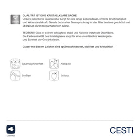 Rotweinglas CESTI 500 ml 6er-Set + Poliertuch