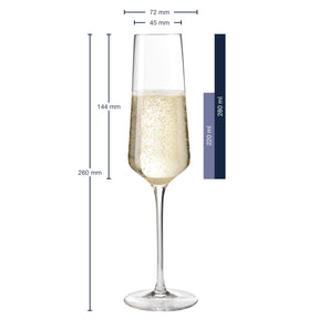 Sektglas PUCCINI 6er-Set 280 ml